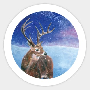 The red deer (Cervus elaphus) in winter Sticker